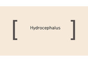 개 수두증(hydrocephalus)과 션트(VHS,ventriculoperitoneal shunt)의 부작용에 대한 논문 피피티 및 대본 발표자료