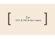 canine CKD, SCC, nonregenerative anemia case study, CKD의 새로운 지표 FGF-23에 관한 further study ppt 발표자료