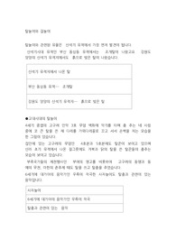 탈놀이와 길놀이