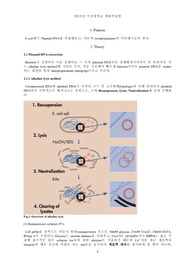 생화학실험 Plasmid DNA 추출(extraction) 실험 보고서 (학부 수석의 레포트 시리즈)
