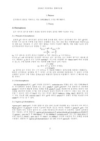 생화학실험 Agarose gel 전기영동 실험 보고서 (학부 수석의 레포트 시리즈)