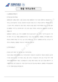 2019 중국남방항공 서류합격 자소서