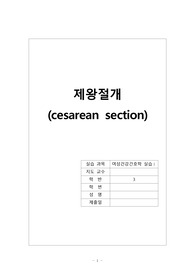 여성간호학실습 제왕절개 케이스스터디 a+ 간호진단5개 간호과정3개