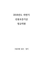 [합격 자기소개서] 2018하반기 정규직원 신용보증기금(신보)