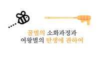 [수업자료][탐구활동과제][생물발표자료] &lt;꿀벌의 소화과정과 여왕벌의 생태&gt;에 관한 PPT(프레젠테이션) 자료입니다. 각종 발표 수업, 과제 제출, 생물학 리포트, 수업 등에 유용하게 사용하시기 바랍니다.