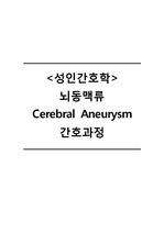 성인간호학 뇌동맥류 cerebral aneurysm 간호과정 간호진단