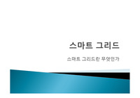 스마트그리드 요약 정리