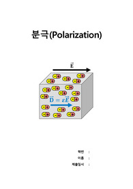 분극 현상 (polarizatioon)