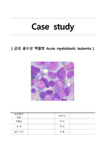 급성 골수성 백혈병 케이스 스터디 Acute myeloblastic leukemia case study