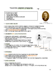 비고츠키 이론 정리 ppt