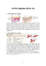 지주막하 출혈 환자 간호, SAH환자간호