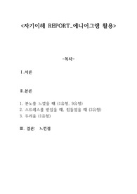 자기이해 보고서에 니어그램 활용