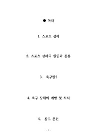 스포츠 상해예방 및 처치 (축구)
