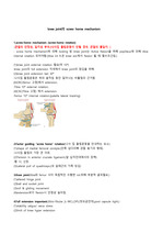 knee joint의 screw home mechanism 정리 리포트