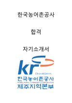 한국농어촌공사 합격자소서 2020하반기