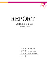 사회복지학과 사회복지문제론 레포트 - 아동학대와 사회복지