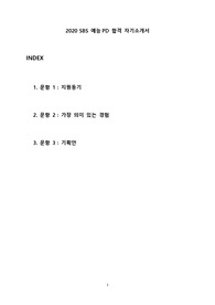 2020 SBS 예능PD 합격 자기소개서