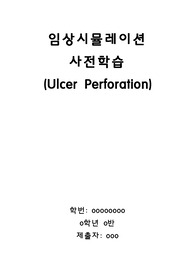 임상시뮬레이션 위궤양 사전학습