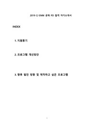 CJ ENM 공채 PD 합격 자기소개서