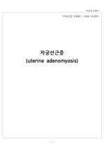 여성간호학케이스 자궁선근증 (uterine adenomyosis) (간호진단 4개)