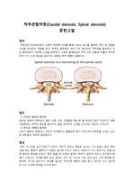 척추관협착증 문헌고찰 및 간호과정, 케이스 스터디 case study