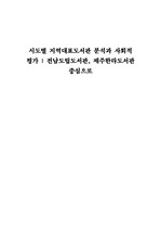 시도별 지역대표도서관 분석과 사회적 평가  전남도립도서관, 제주한라도서관 중심으로