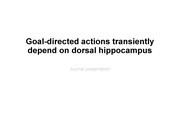 Goal-directed actions transiently depend on dorsal hippocampus 논문 해석 PPT