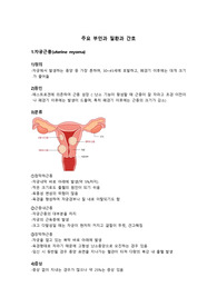 주요 부인과 질환과 간호(자궁근종, 자궁경부암)