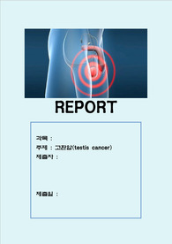 고환암 레포트(A+받음/그림자료, 다양한 참고문헌 있음)