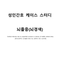 A+ 성인간호 뇌졸중(뇌경색) 케이스 스터디(간호진단3개, 간호과정3개)