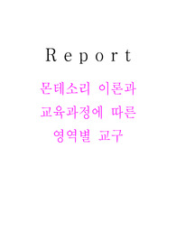 A+ 보육과정레포트_몬테소리 이론과 교육과정에 따른 영역별 교구