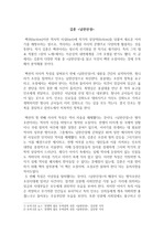 팩션의 서사적 특징 - 김훈 '남한산성'