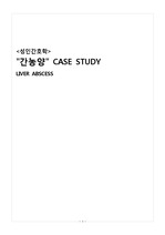 성인간호학 [간농양 Case Study] 문헌고찰, 간호진단, 간호과정 (3개)