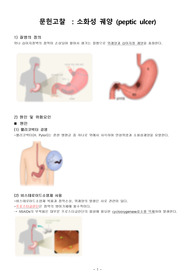 [A+] 위궤양 간호과정/ CASE STUDY (간호진단 4개, 간호과정 3개)