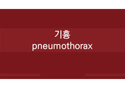기흉 pneumothorax PPT