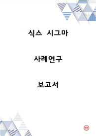 식스 시그마 사례연구 보고서