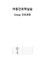 아동간호학실습 크룹(Croup) 간호과정