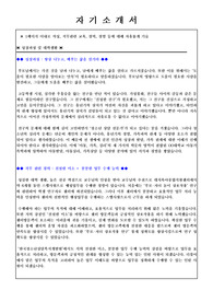 [자기소개서] 한국청소년상담복지개발원 인턴 합격자소서