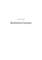 공학생물학및실험(2) 2주차 결과 레포트_Restriction Enzymes