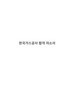 한국가스공사 합격 자소서(경영 및 회계 직렬)