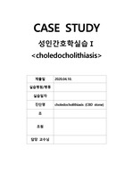 choledocholithiasis (CBD stone) 케이스스터디(간호진단9개, 간호과정2개)