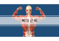 뼈대계통 생리학 발표 피피티