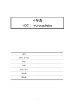 수두증케이스hydrocephalus, 신경외과 사례연구보고서, 문헌고
