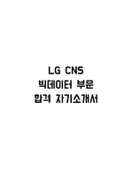 LG CNS 빅데이터 부문 합격 자기소개서