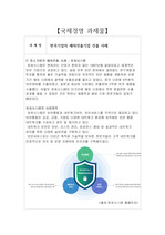 [A+,표지포함6페이지] 한국기업의 해외 진출 사례