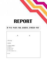 [여성복지론]한 부모 여성의 개념, 발생원인, 문제점과 대안