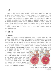 A++ 보장, 성인간호학실습 -  천식 asthma case CASE STUDY, 간호과정 및 진단 3개 이상 + 교수님 피드백 반영