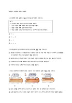 해부생리학 창작문제5- 10문제+답, 해설 매우 꼼꼼함! 시험자료