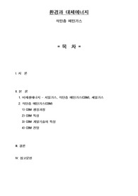 환경과 대체에너지 석탄층 메탄가스(CBM -Coalbed Methane)