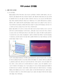 [생명과학실험]PCR product 전기영동